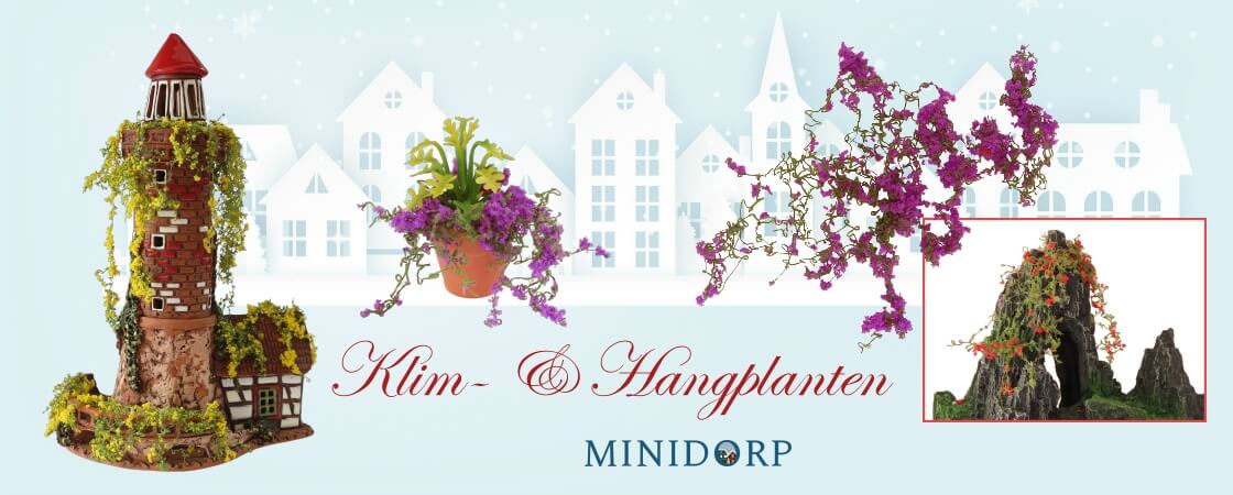 Klim- & Hangplanten Klim- & Hangplanten