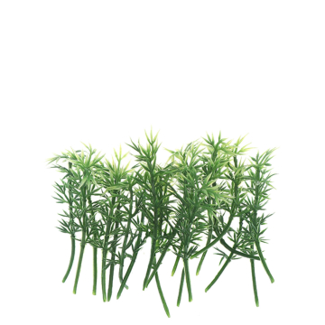 Bamboe - 6 cm - 10 Stengels
