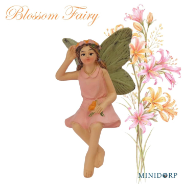 Bloemenfee - Blossom Fairy