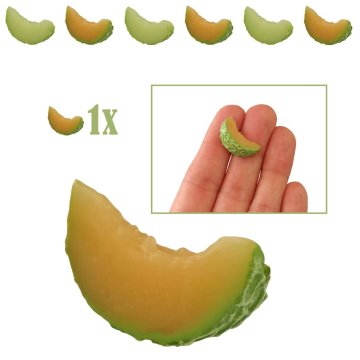 Miniatuur Cantaloupe Meloen Schijf