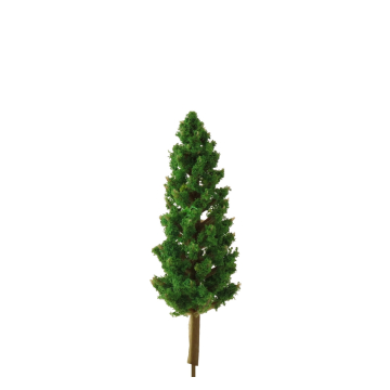 Miniatuur Conifeer - 6.5 cm