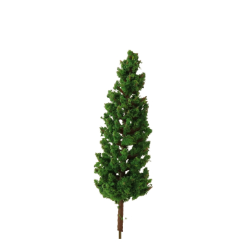Miniatuur Conifeer - 8.5 cm