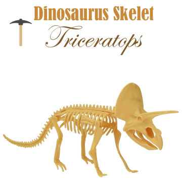 Miniatuur Dinosaurus Skelet - Triceratops