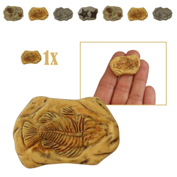 Miniatuur Fossiel van Prehistorische Vis