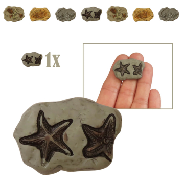 Miniatuur Fossiel van Prehistorisch Reptiel