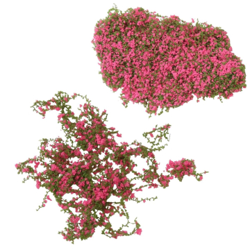 Miniatuur Klimop met Donkerroze Bloemen