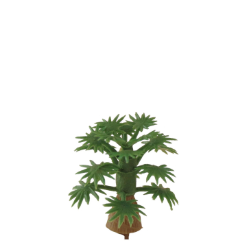 Miniatuur Kokospalm - 2 cm