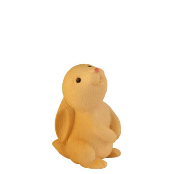 Miniatuur Konijn Snuffel
