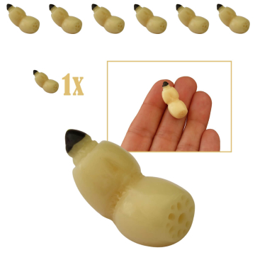 Miniatuur Lotuswortel