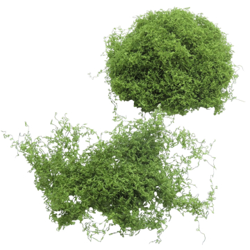 Miniatuur Mos Klimplant Legergroen