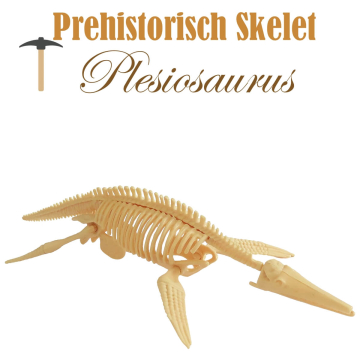 Miniatuur Prehistorisch Skelet - Plesiosaurus