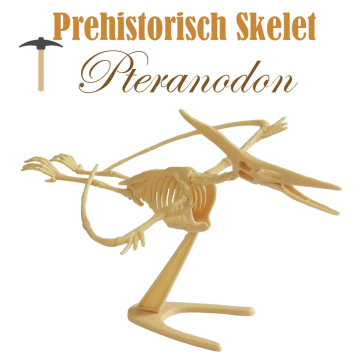 Miniatuur Prehistorisch Skelet - Pteranodon