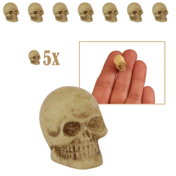 Miniatuur Schedel - Set van 5