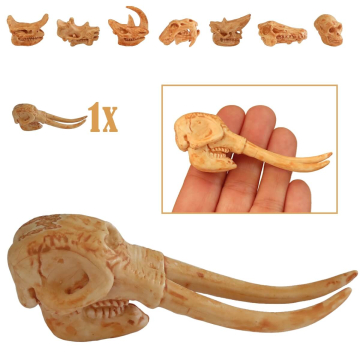 Miniatuur Schedel van Mastodont (Mammut)