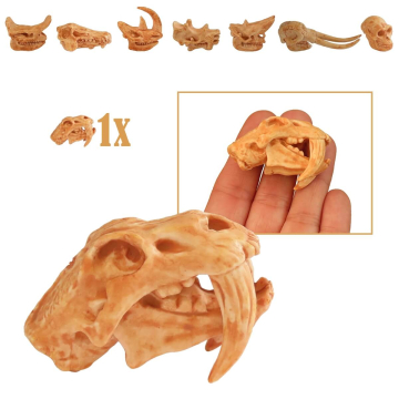 Miniatuur Schedel van Sabeltandtijger (Smilodon)