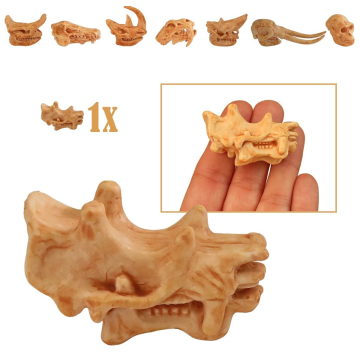 Miniatuur Schedel van Uintatherium