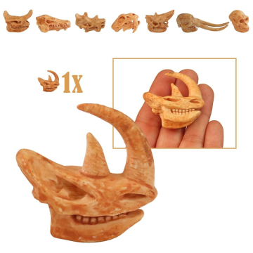 Miniatuur Schedel van Wolharige Neushoorn