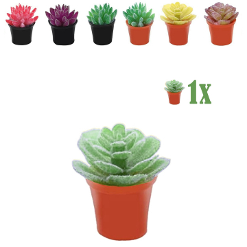 Miniatuur Sedum Plantje Groen in Bloempot - 2.3 cm