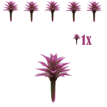Miniatuur Vetplantje Groen Paars - 2 cm