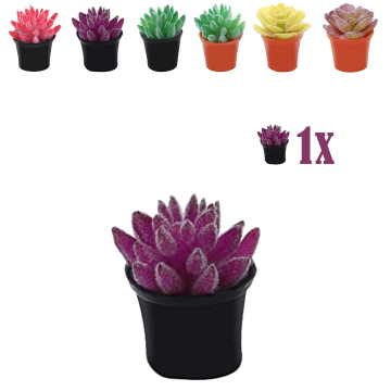 Miniatuur Vetplantje Paars in Bloempot - 2.2 cm