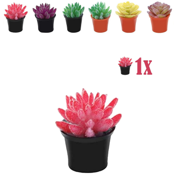 Miniatuur Vetplantje Roze in Bloempot - 2.2 cm