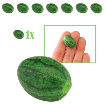 Miniatuur Watermeloen
