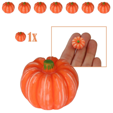 Pompoen Miniatuur
