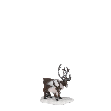 Luville - Reindeers