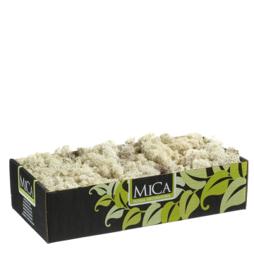Rendiermos Beige 500gr - Mica Decorations