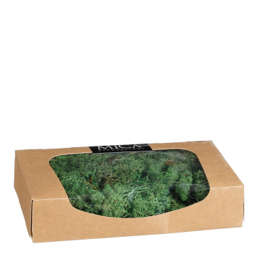 Rendiermos Groen Glitter 35gr - Mica Decorations