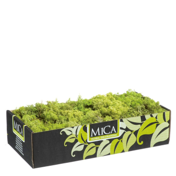 Rendiermos Lichtgroen 500gr - Mica Decorations