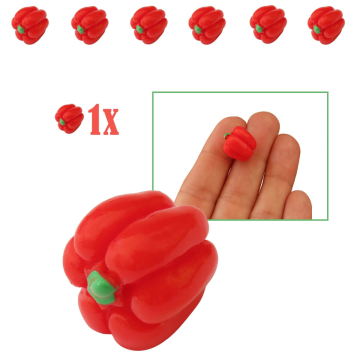 Rode Paprika Miniatuur