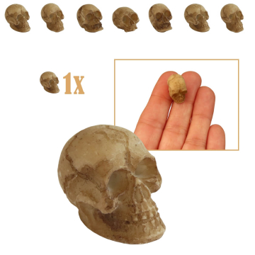 Verweerde Miniatuur Schedel