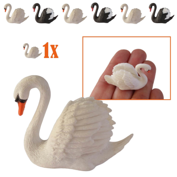 Witte Miniatuur Zwaan