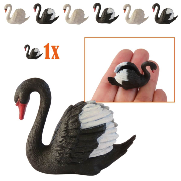 Zwart-Witte Miniatuur Zwaan