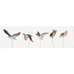 Lemax - Set van 5 Assorted Birds