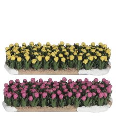 Tulip Field - Set van 2