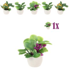 Mini Vetplantje Roodpaars in Bloempot - 2.7cm