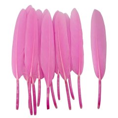 Roze Penveren - 14 cm - 24 Stuks