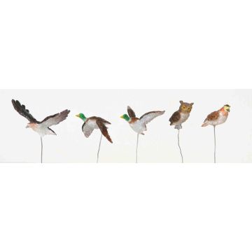 Lemax - Set of 5 Assorted Birds