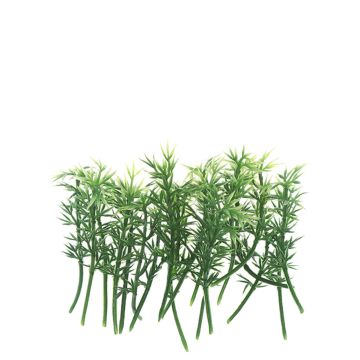 Bamboe - 6 cm - Set van 10 Stengels