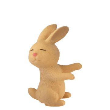 Beige Miniatuur Konijn Bunny