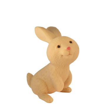 Beige Miniatuur Konijn Flocon