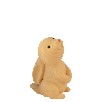 Beige Miniatuur Konijn Snuffel