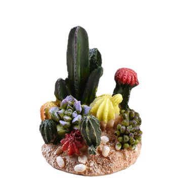 Cactus en Succulent Landschap