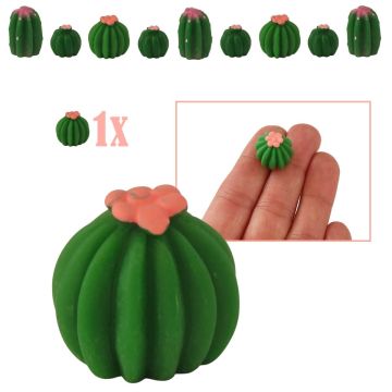 Geribde Mini Bolcactus