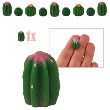 Geribde Mini Kogelcactus