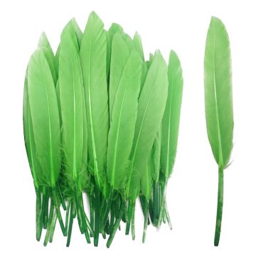 Groene Penveren - 14 cm - 24 Stuks