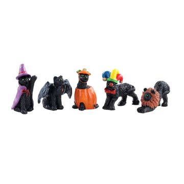 Spooky Town - Halloween Cats - Set van 5