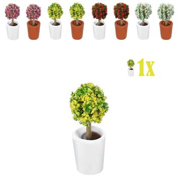 Mini Bolstruik Gele Bloemetjes in Witte Bloempot - 2.3 cm